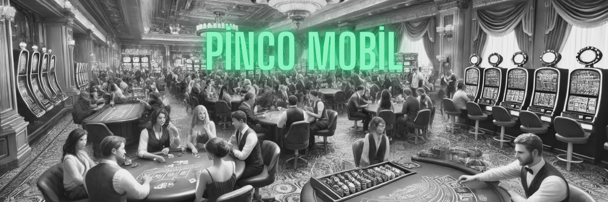 Pinco Mobil